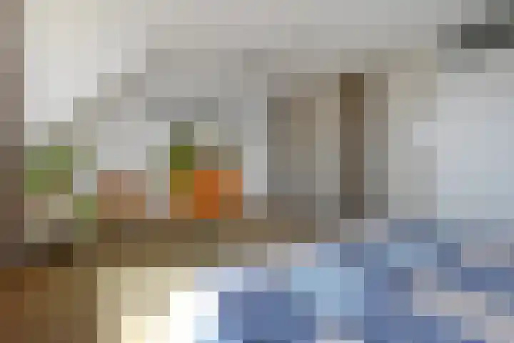 Ranonkelweg 37 Berkel en Rodenrijs thumbnail 31