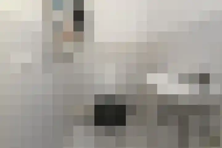 Ranonkelweg 37 Berkel en Rodenrijs thumbnail 36