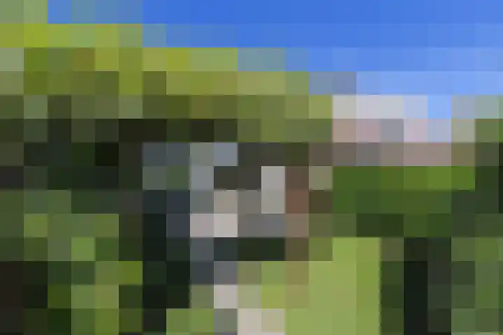 Ranonkelweg 37 Berkel en Rodenrijs thumbnail 43
