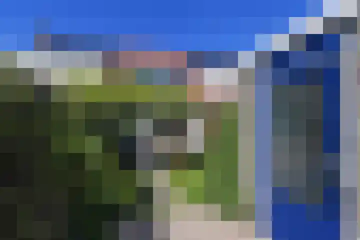 Ranonkelweg 37 Berkel en Rodenrijs thumbnail 44