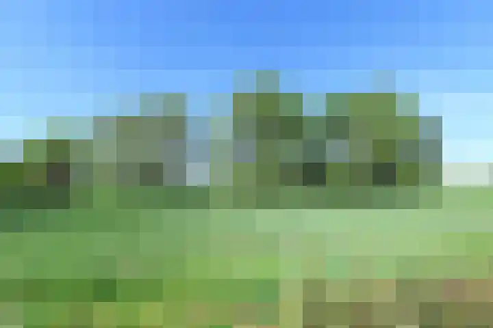 Ranonkelweg 37 Berkel en Rodenrijs thumbnail 46