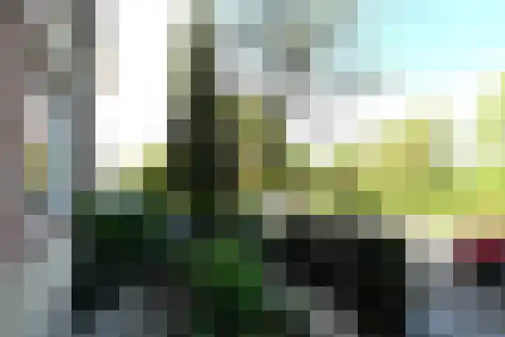 Ranonkelweg 37 Berkel en Rodenrijs thumbnail 6
