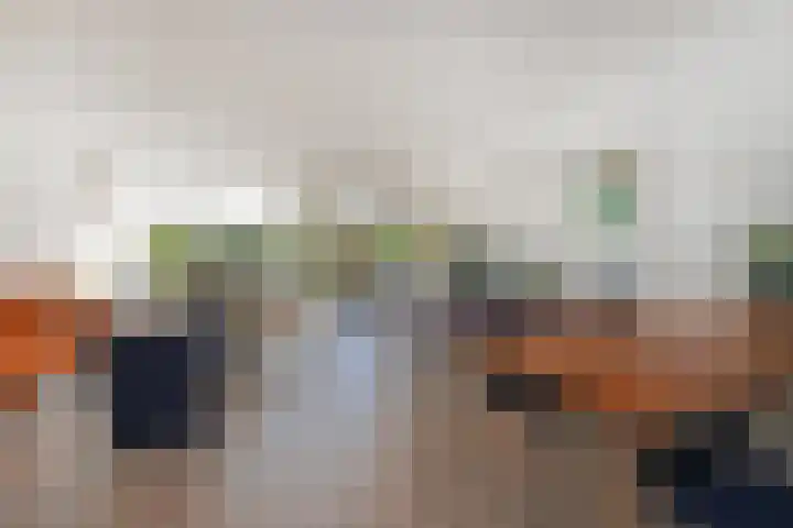 Ranonkelweg 37 Berkel en Rodenrijs thumbnail 9