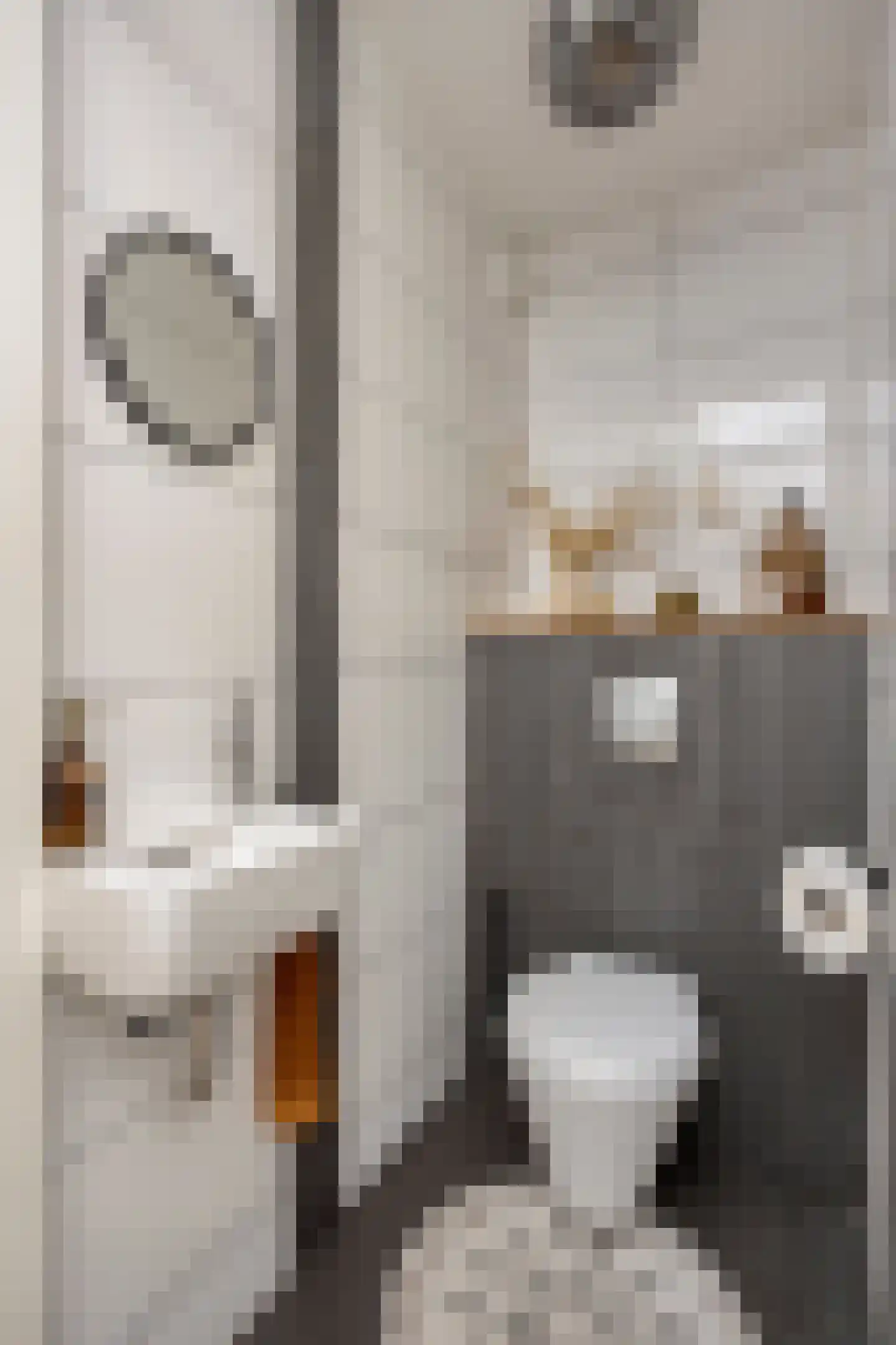 Ransdorpstraat 14 Tilburg thumbnail 11