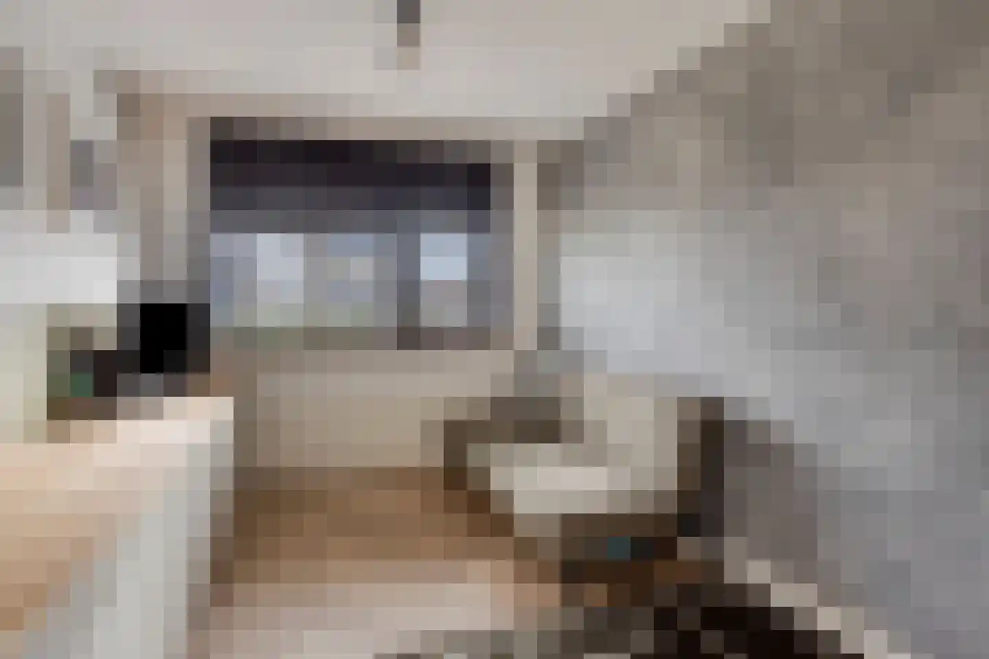 Ransdorpstraat 14 Tilburg thumbnail 37