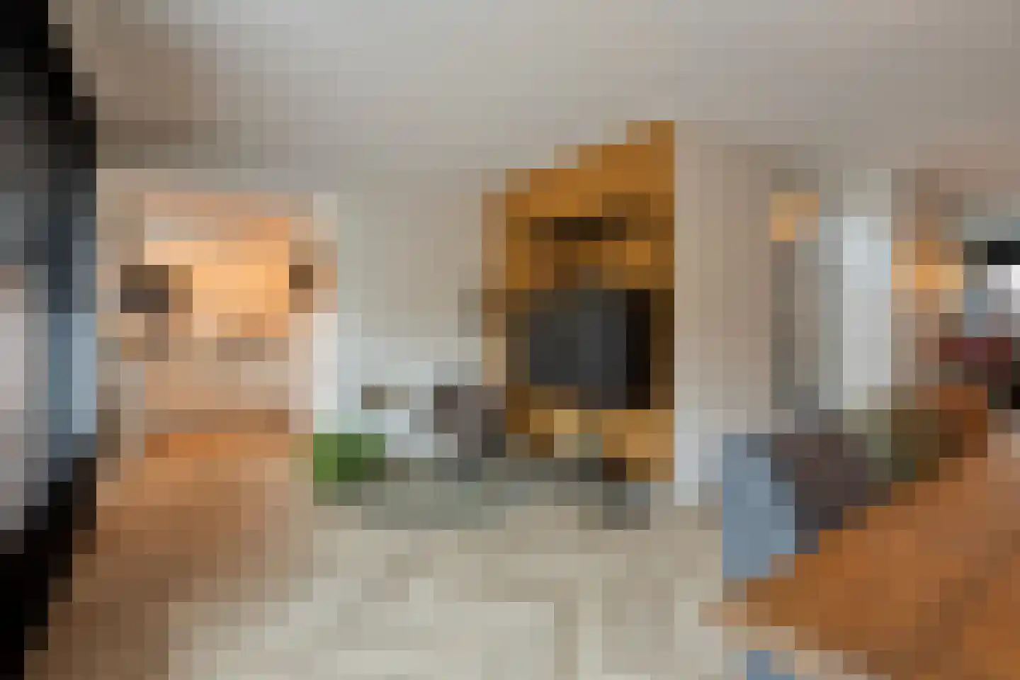 Ransdorpstraat 14 Tilburg thumbnail 4