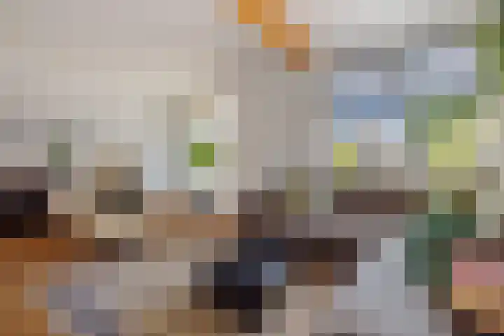 Ranselberg 11 Veldhoven thumbnail 14