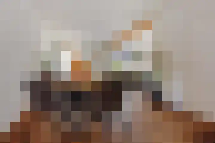 Ranselberg 11 Veldhoven thumbnail 18