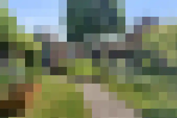 Ranselberg 11 Veldhoven thumbnail 27