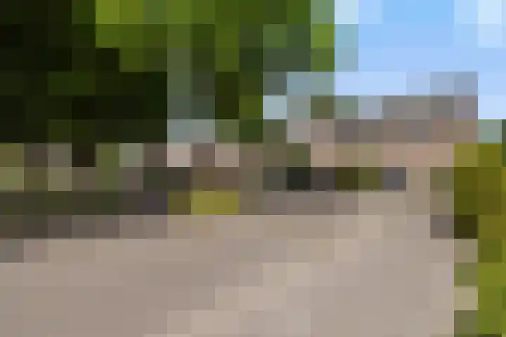 Ranselberg 11 Veldhoven thumbnail 53
