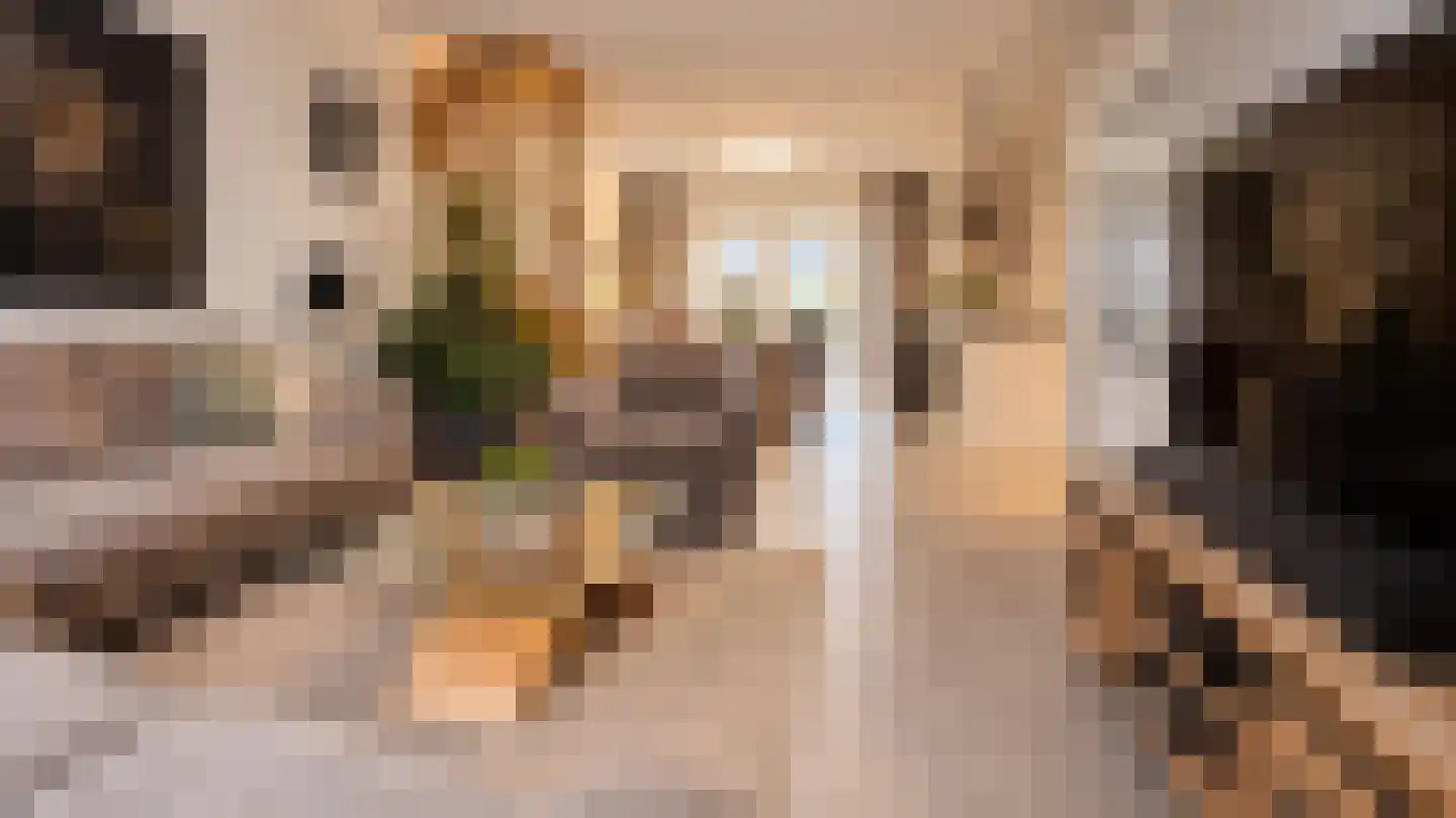 Ranselberg 16 Veldhoven thumbnail 4