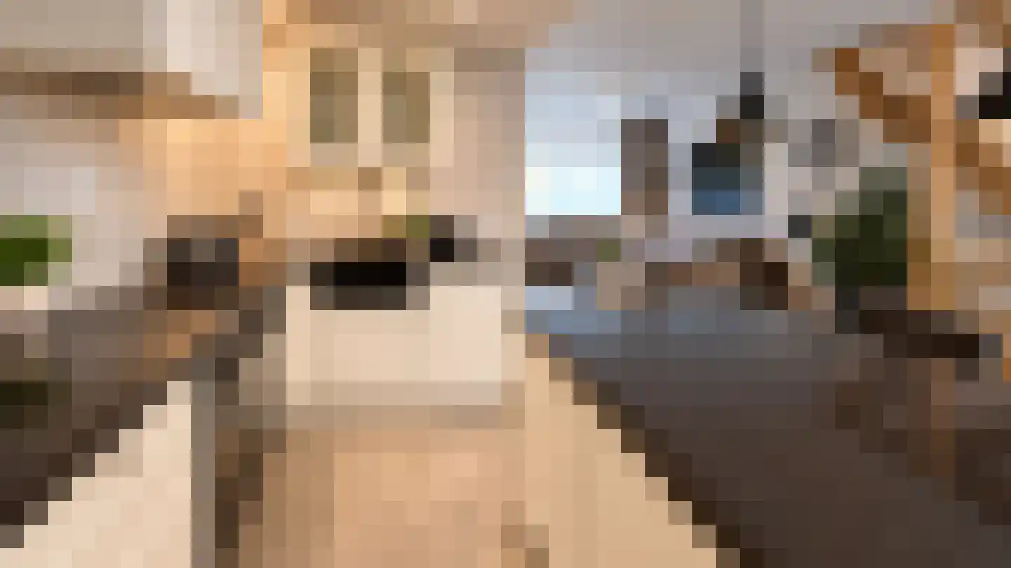 Ranselberg 16 Veldhoven thumbnail 7
