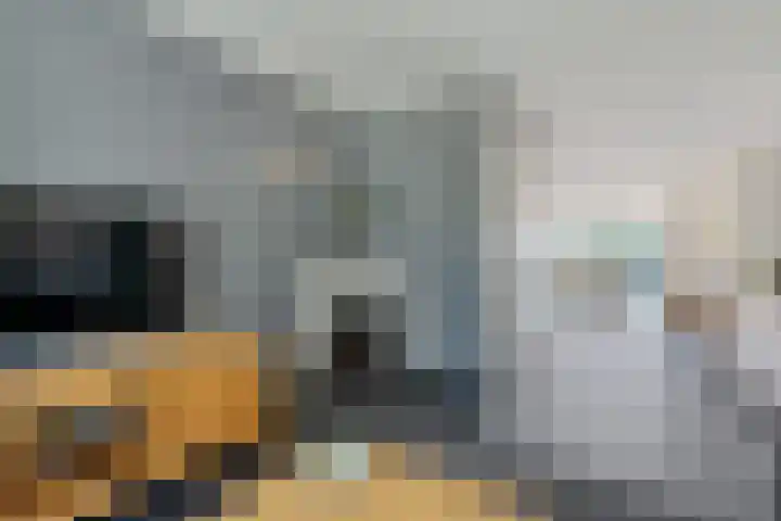 Ranselberg 20 Veldhoven thumbnail 16