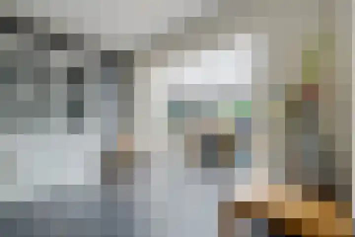 Ranselberg 20 Veldhoven thumbnail 23