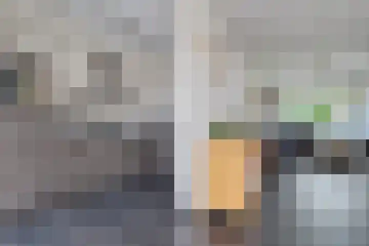 Ranselberg 20 Veldhoven thumbnail 24