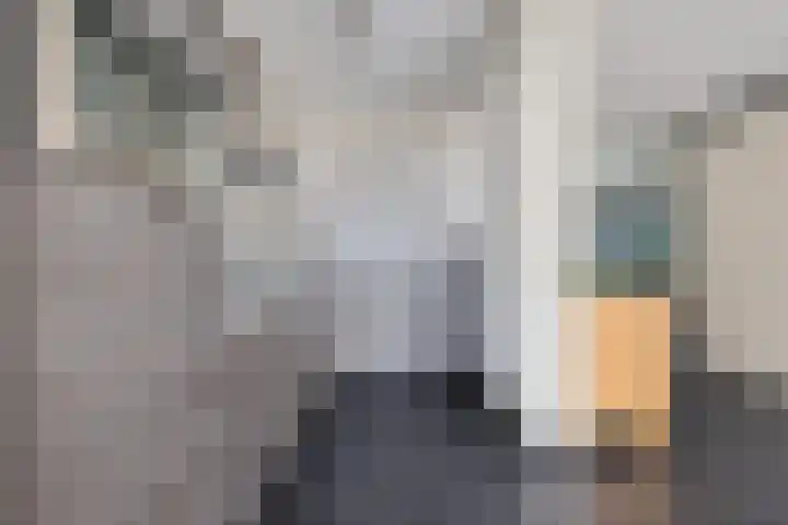 Ranselberg 20 Veldhoven thumbnail 27