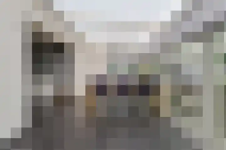 Ranselberg 20 Veldhoven thumbnail 30