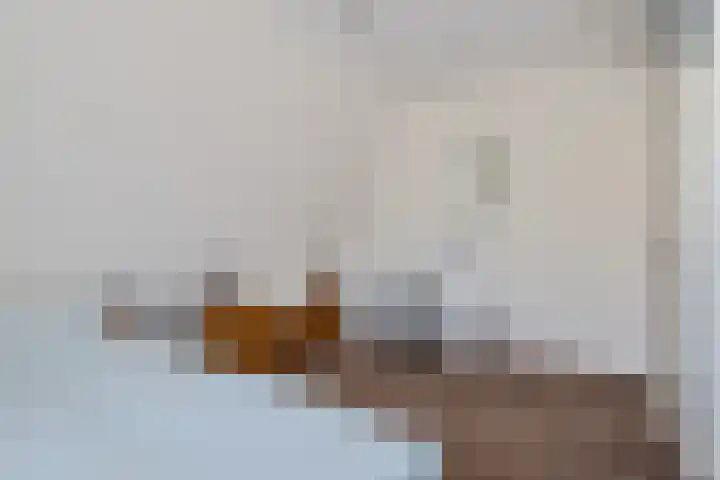 Ranselberg 20 Veldhoven thumbnail 39
