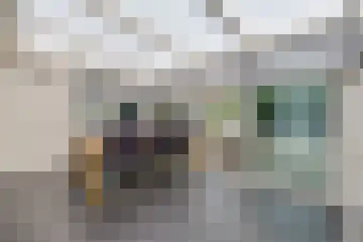 Ranselberg 20 Veldhoven thumbnail 49