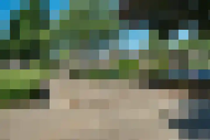 Ranselberg 20 Veldhoven thumbnail 5