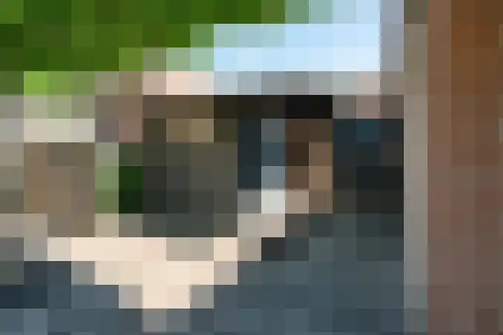 Ranselberg 20 Veldhoven thumbnail 55