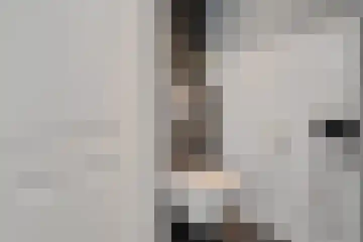 Ranselberg 20 Veldhoven thumbnail 9
