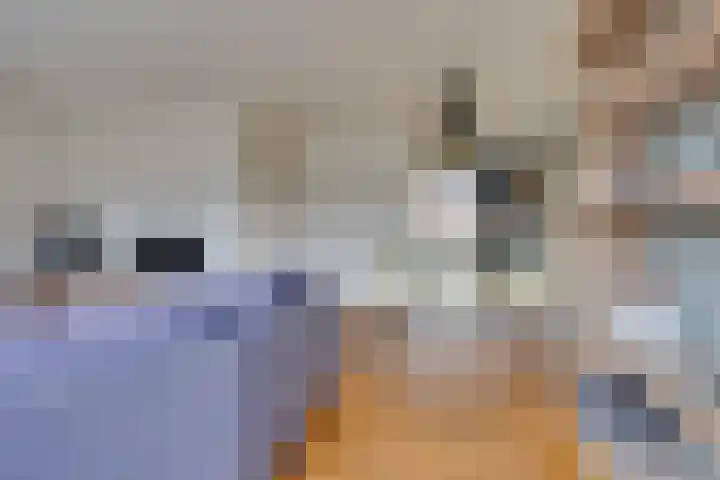 Ranstplein 36 Maarssen thumbnail 12