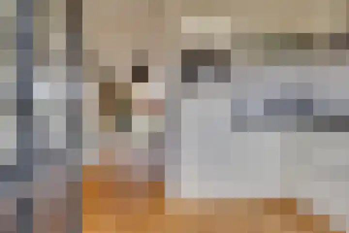 Ranstplein 36 Maarssen thumbnail 14