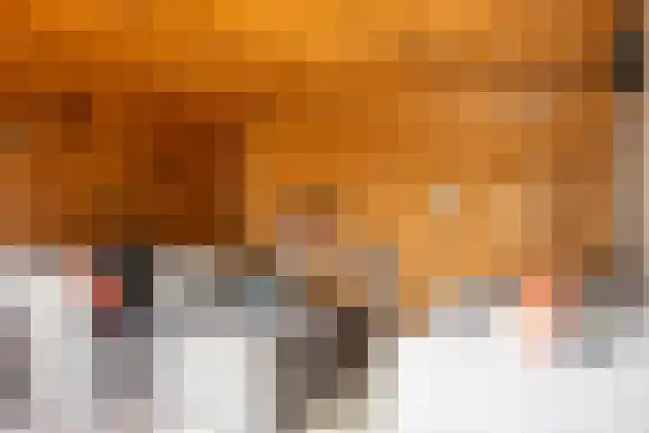 Ranstplein 36 Maarssen thumbnail 17