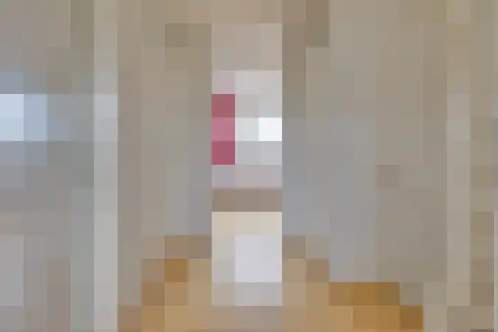 Ranstplein 36 Maarssen thumbnail 26