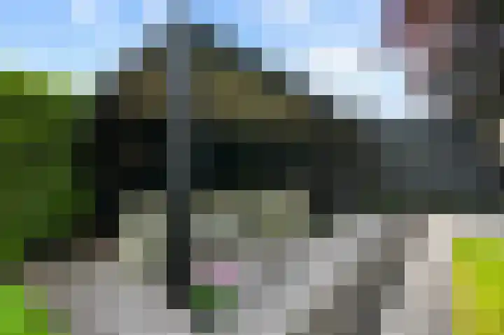 Ransuil 10 Ouderkerk aan de Amstel thumbnail 10