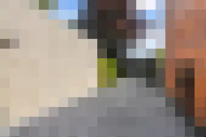 Ransuil 10 Ouderkerk aan de Amstel thumbnail 11