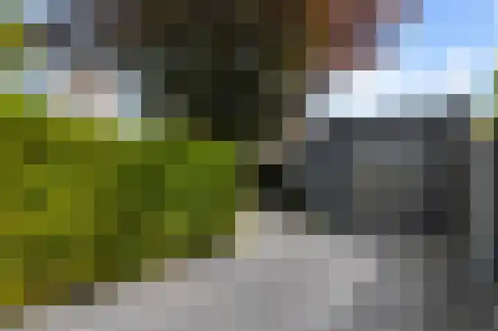 Ransuil 10 Ouderkerk aan de Amstel thumbnail 12