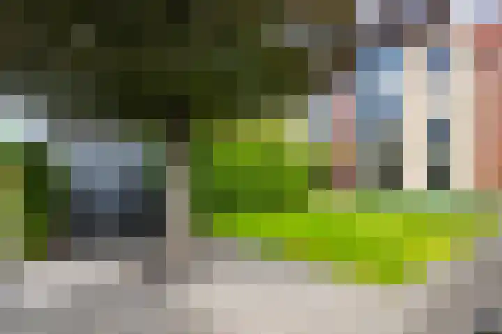 Ransuil 10 Ouderkerk aan de Amstel thumbnail 13