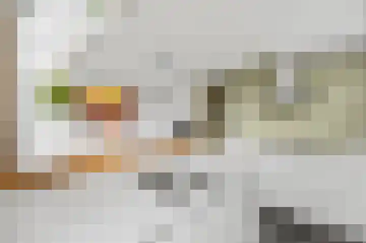 Ransuil 10 Ouderkerk aan de Amstel thumbnail 18