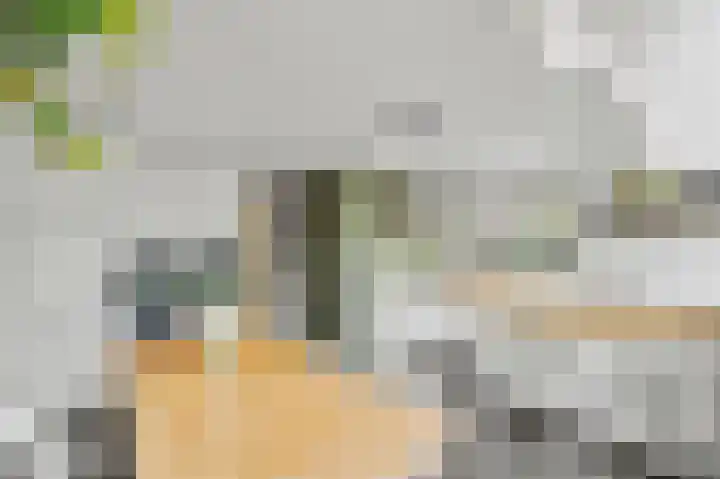 Ransuil 10 Ouderkerk aan de Amstel thumbnail 21