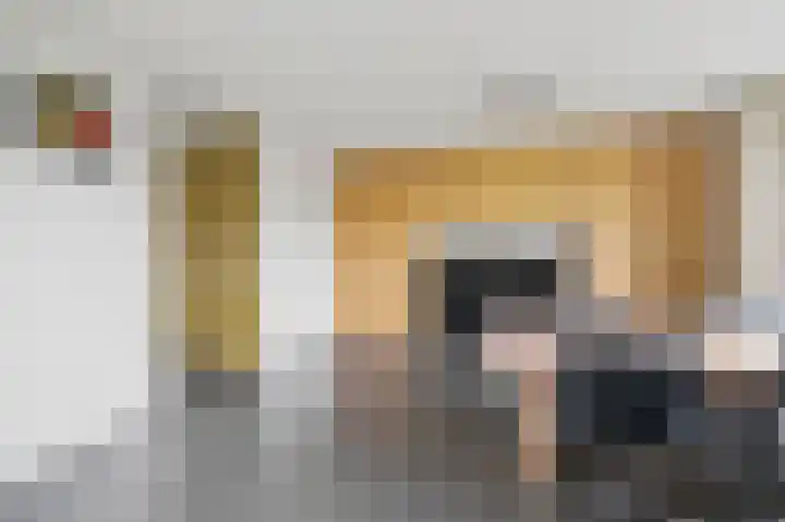 Ransuil 10 Ouderkerk aan de Amstel thumbnail 22