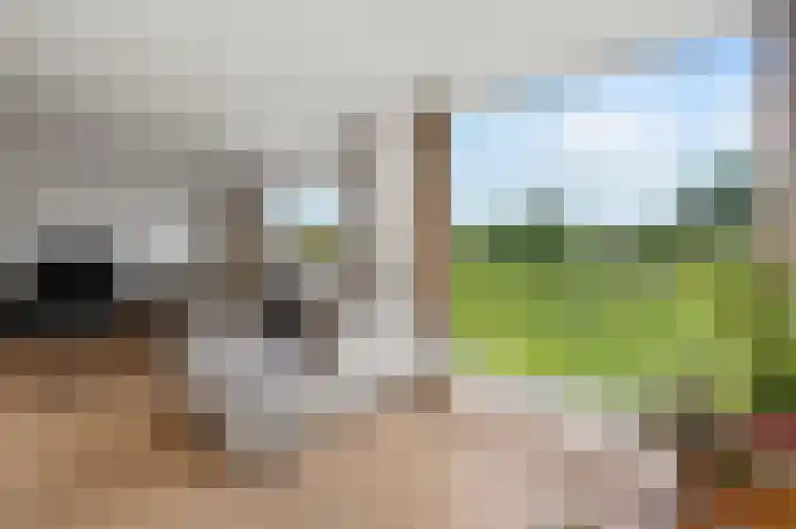 Ransuil 10 Ouderkerk aan de Amstel thumbnail 33