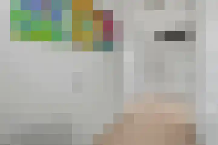 Ransuil 10 Ouderkerk aan de Amstel thumbnail 37