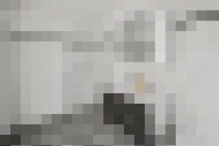 Ransuil 10 Ouderkerk aan de Amstel thumbnail 43