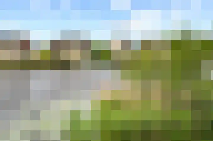 Ransuil 10 Ouderkerk aan de Amstel thumbnail 55