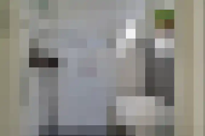 Ransuil 3 Nieuwegein thumbnail 15