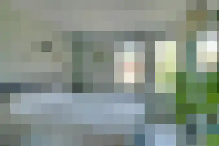 Ransuil 3 Nieuwegein thumbnail 18