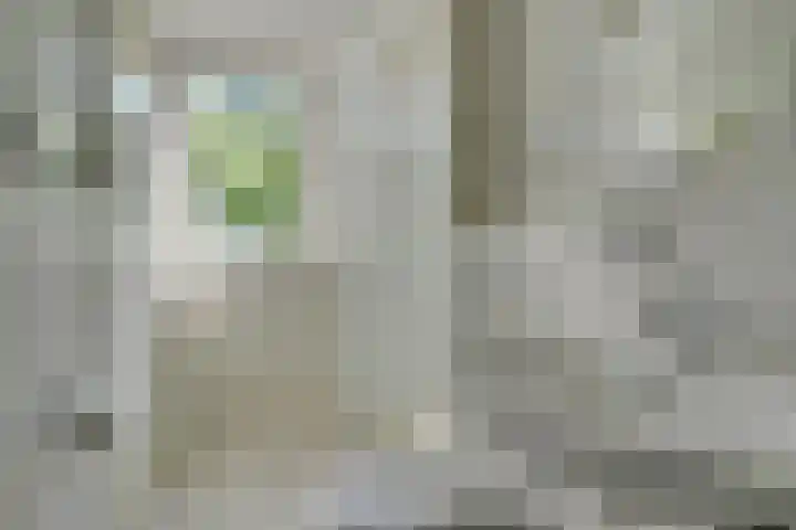 Ransuil 3 Nieuwegein thumbnail 28