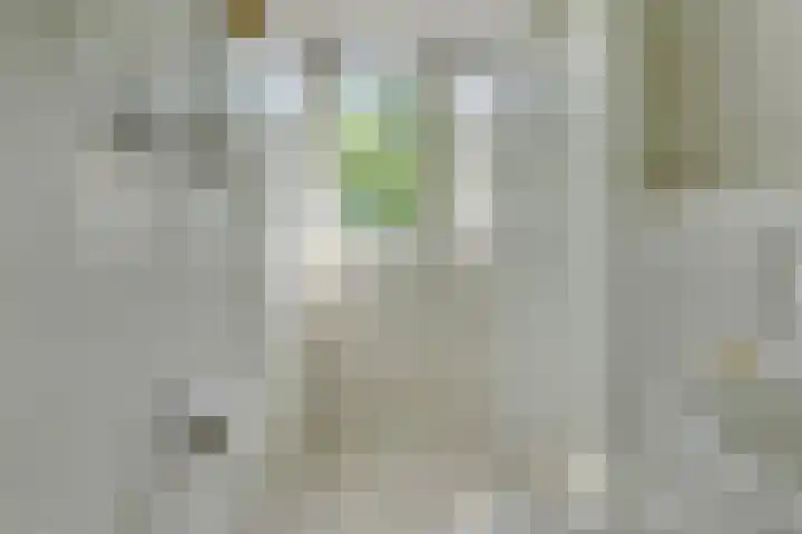 Ransuil 3 Nieuwegein thumbnail 29