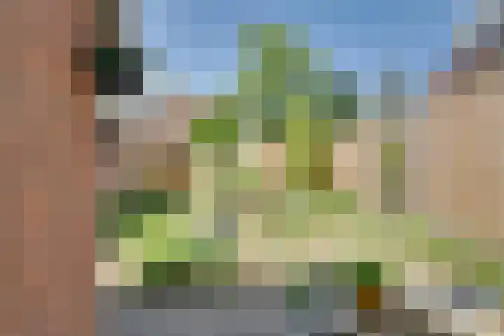 Ransuil 3 Nieuwegein thumbnail 33