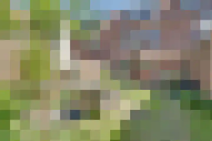 Ransuil 3 Nieuwegein thumbnail 34