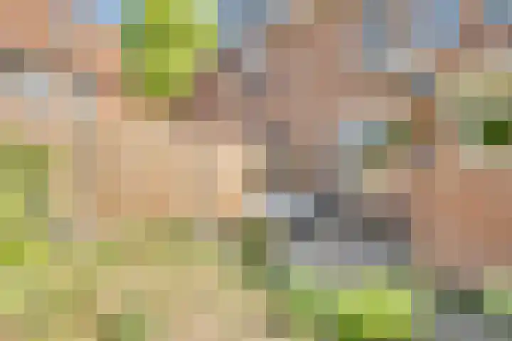 Ransuil 3 Nieuwegein thumbnail 35
