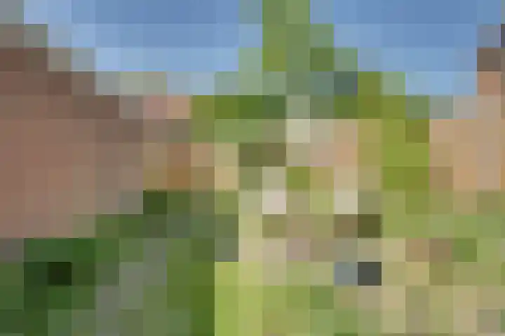 Ransuil 3 Nieuwegein thumbnail 36