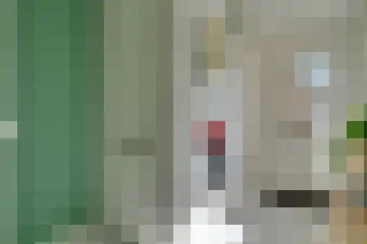 Ransuil 3 Nieuwegein thumbnail 4